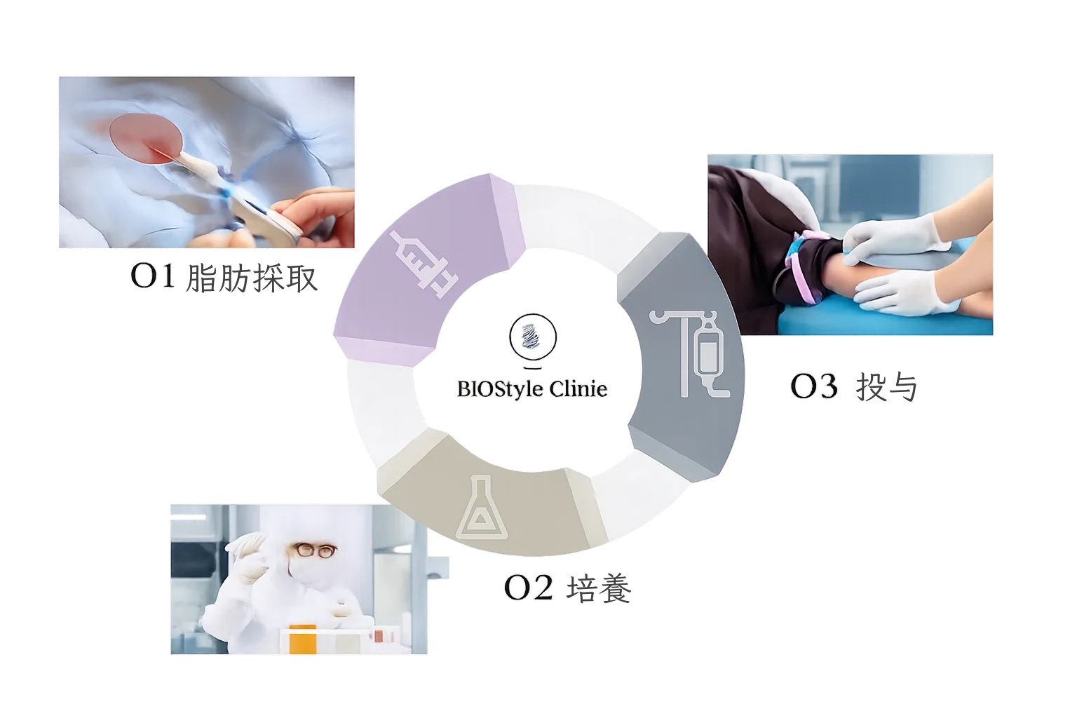 Cycle diagram: 01 fat collection, 02 culture and 03 administration, all handled at the group's Specified Cell-Processing Facility