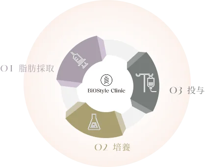 01 脂肪採取 → 02 培養 → 03 投与をグループ内CPCで一貫して行う循環図