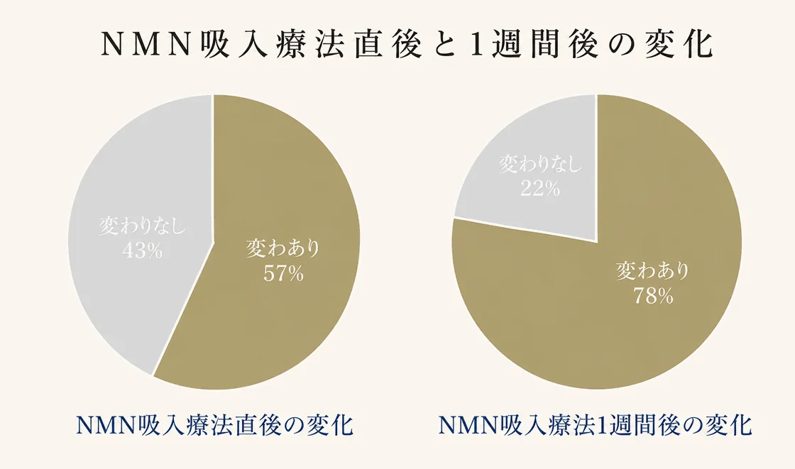 NMN吸入療法直後と1週間後の変化(円グラフ)