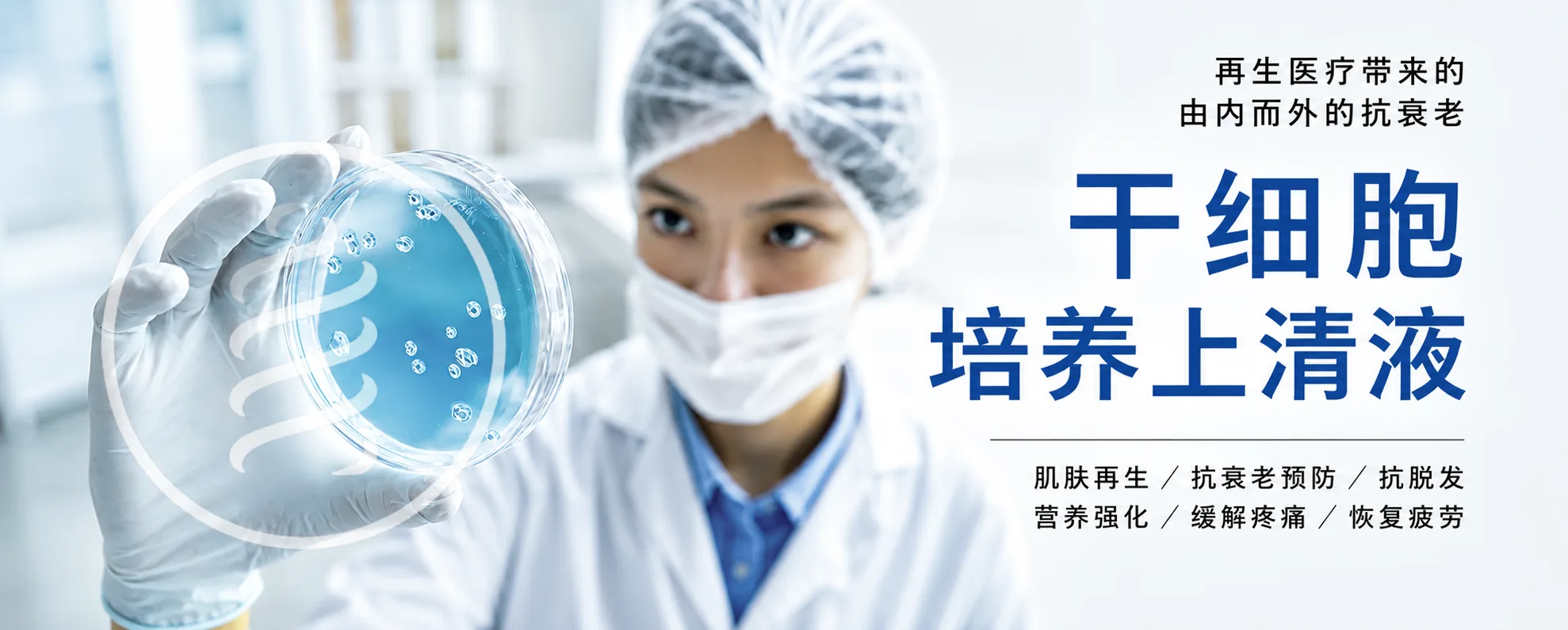 干细胞培养上清液